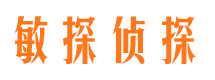 射阳市私家侦探